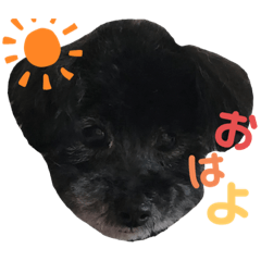 miyuu_20210626145706