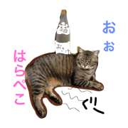 Oh! Cats