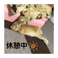 himawari_20210626161912