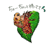 8Bugs