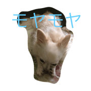 rarao no ichinichi