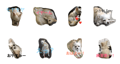 rarao no ichinichi