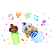 peco_maco_pico