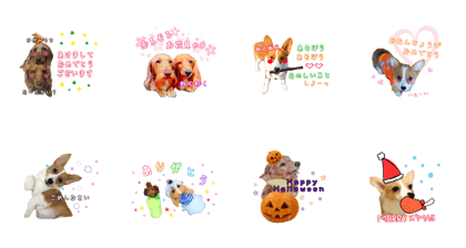 peco_maco_pico