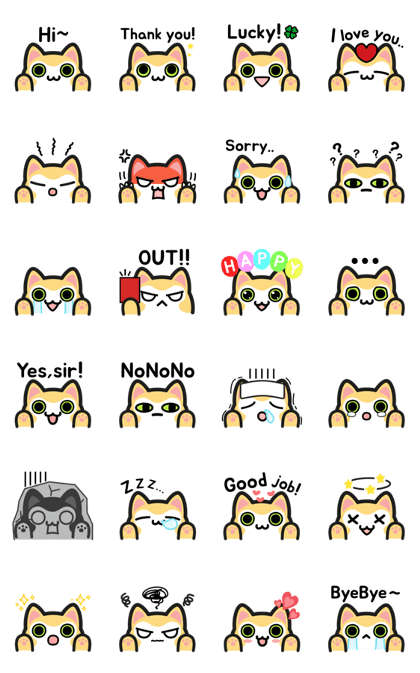 UNO CAT No.08