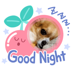 chie_20210626163947