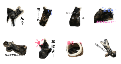 mu.gi2