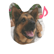 pink@germanshepherddog