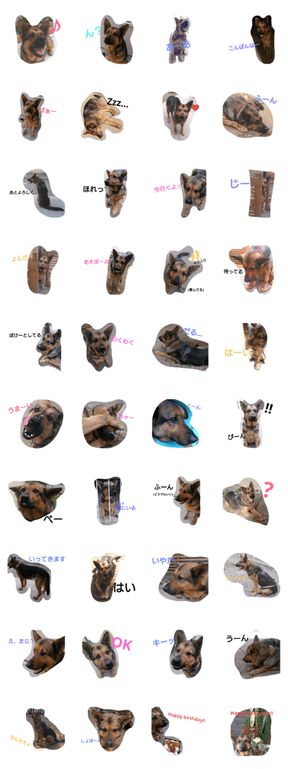 pink@germanshepherddog