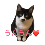 Nya-chan face
