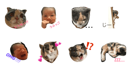 May & Mameko