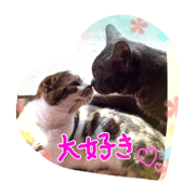 pussycatLOVE