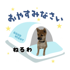 kayo_20210626175114