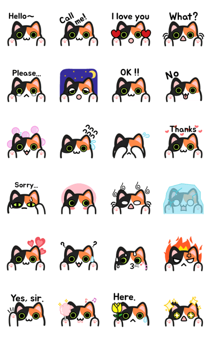 UNO CAT No.04