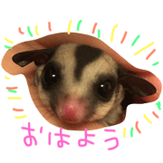 mocoriita