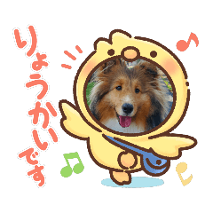 iFAMILY_20210626171819