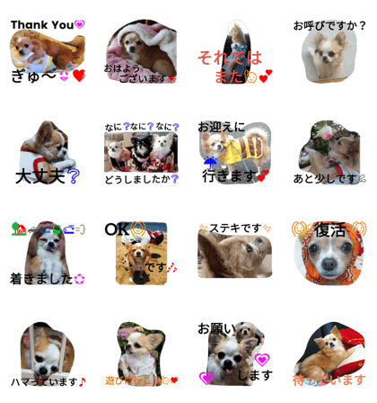 Chihuahua Sora andMei stamp2