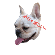 Frenchbulldog Mecha