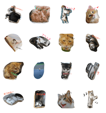 fanny cats