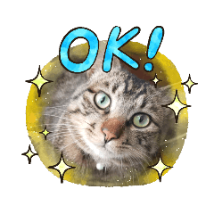 NATSUMI_20210626185057