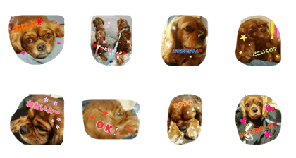 Healing cavalier ruby
