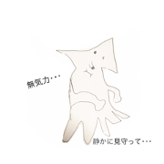 squid2017