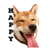 GomashibanoGoma2
