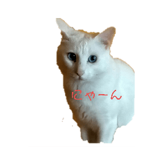 kazuki_20210626122459