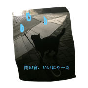 cat kuro