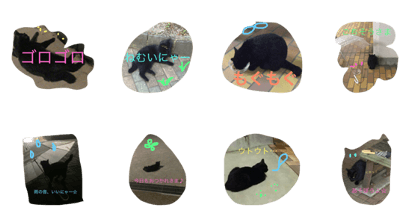 cat kuro
