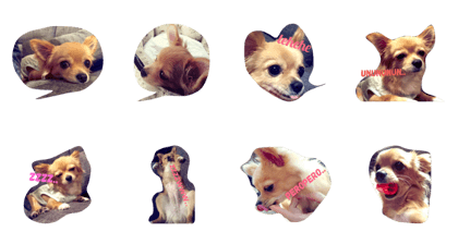 love love dog..