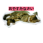 Sleepinganimal