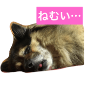 The days of RAN-CHAN