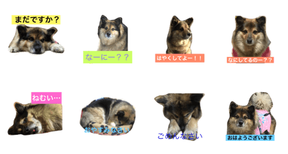 The days of RAN-CHAN
