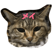 May CAT