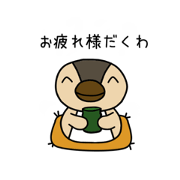 kuwa-kuwa