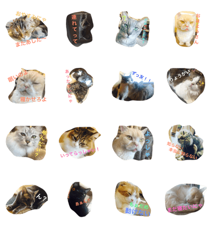 catchmecat stamp!!