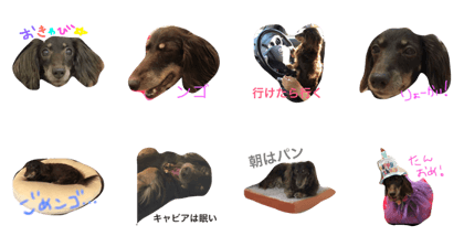 Caviar stickers