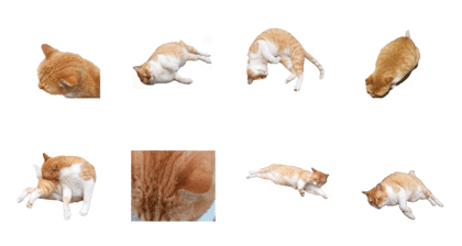 Cute cat moving sticker