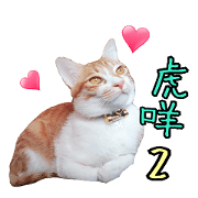 it's about HuMei 2