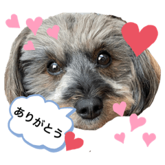 KAORI_20210626111434