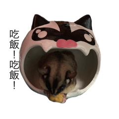 我是蜜蜜 蜜蜜是我