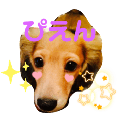 yun_20210626195440