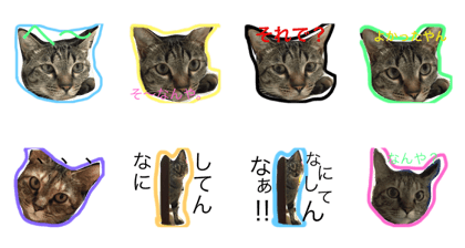 OSAKA love cats