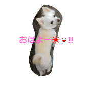 marumarumaruchan