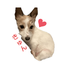 Asuka_20210626215214