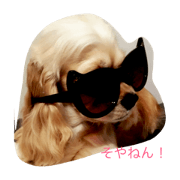 peco's peco