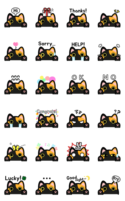 UNO CAT No.13