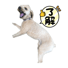 Kaori_20210627003239