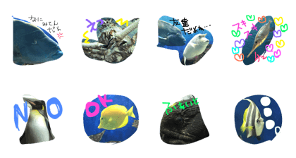 fishlanguage  ww